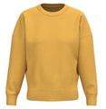 Dames Sweater Native Spirit Ecologische NS439 Sun Yellow